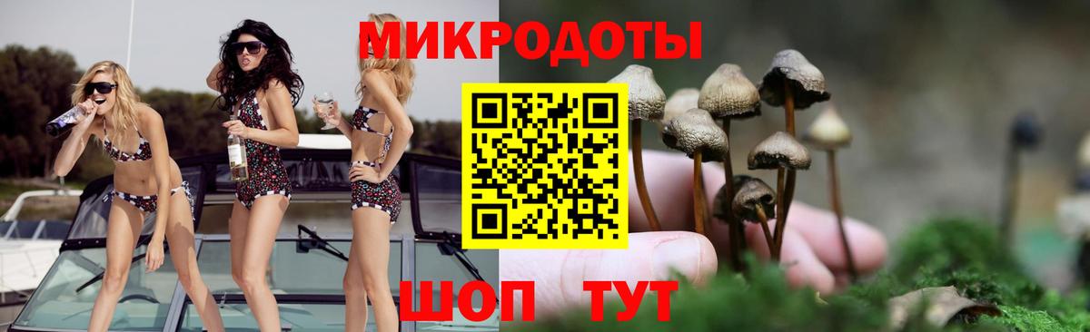 Галлюциногенные грибы Psilocybine cubensis Нижнекамск